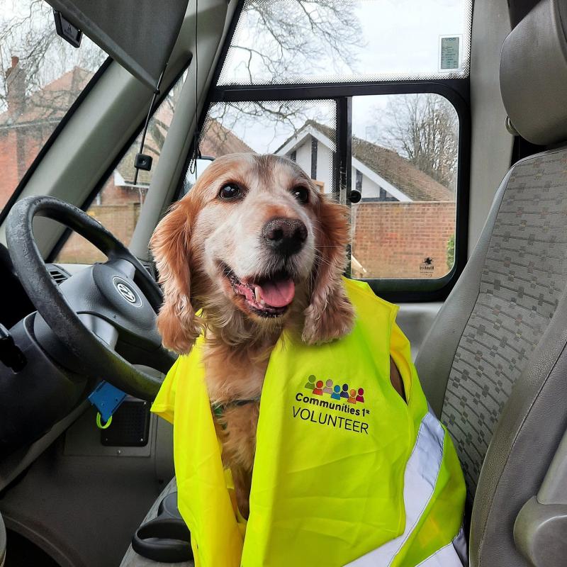 A dog, Beau, in the front seat of one of our Community Transport vans.