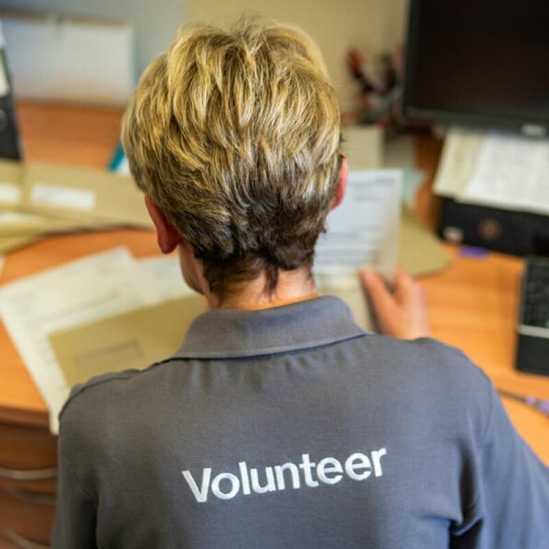 Female volunteer in grey 'volunteer' polo shirt, sitting at a desk doing admin work