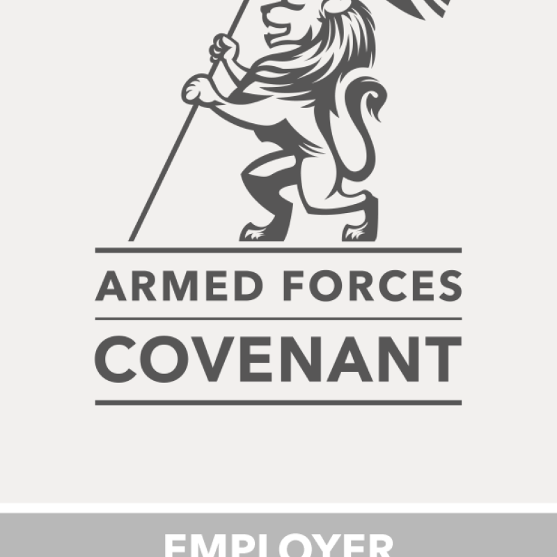 image of the logo for the ERS Silver Award, showing a lion holding a UK flag and a graphic of a crown